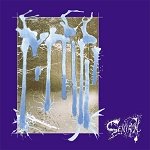 FORGOTTEN SILENCE - Senyaan