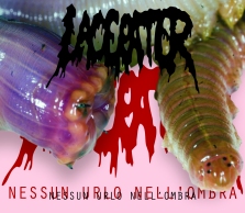 LACERATER - Nessun Urlo Nell'Ombra MCD (2007)