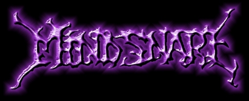 MIND SNARE