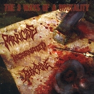 PARRICIDE/INCARNATED/REEXAMINE - The 3 Ways Of A Brutality (2008)