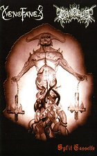 XENOFANES / CRANIAL DUST - Split