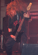 Niklas Dewerud (Click on the image to enlarge)